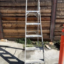 Escalera 6 Pies