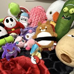 Pokémon Plushies & More