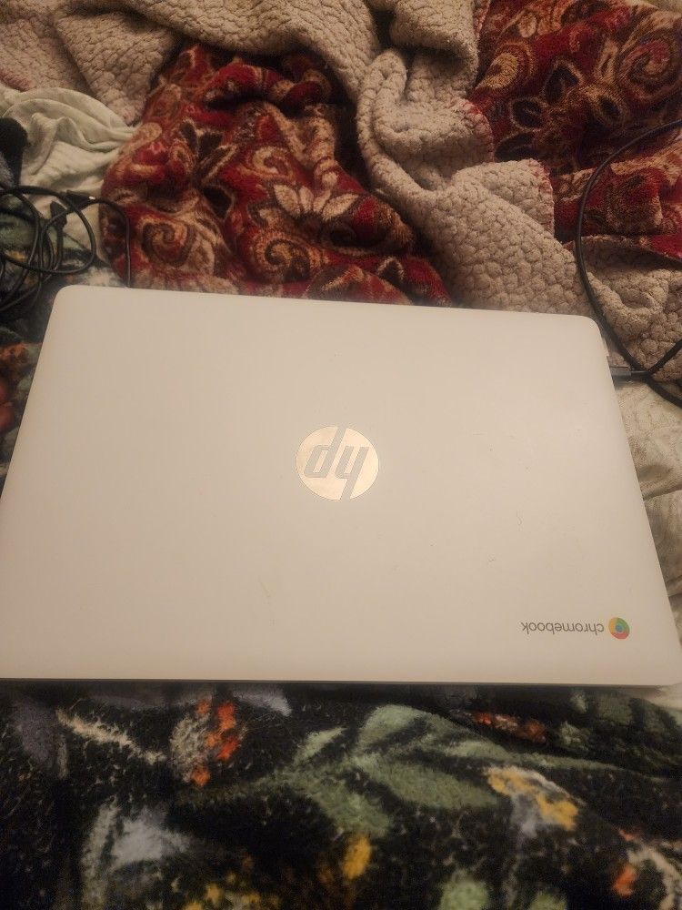 hp chrome book