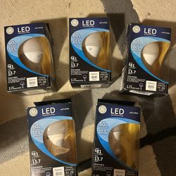 GE Energy Efficient Bulbs