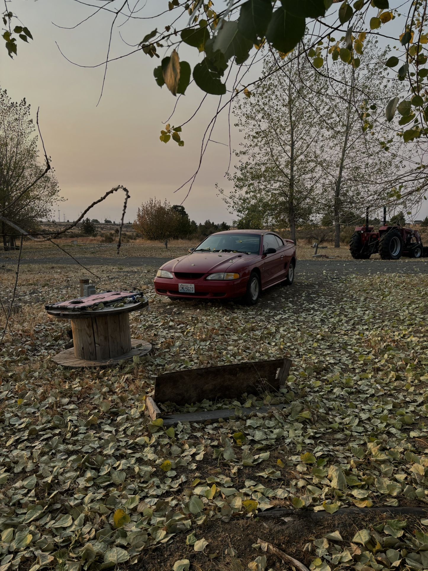 1996 Ford Mustang