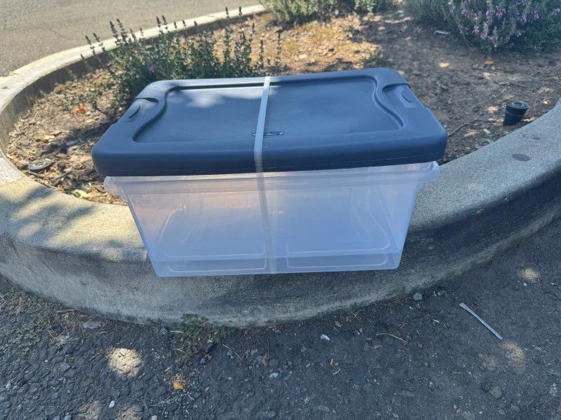 2 Pack Containers