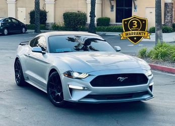 2019 Ford Mustang