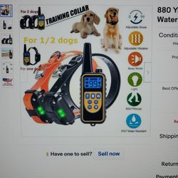 Shock Collar 880 Yards