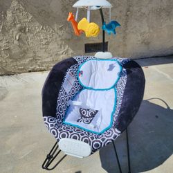 Used Like New Baby Bouncer