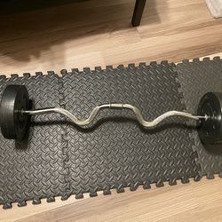 EZ Curl Bar & 10lb Weight Set