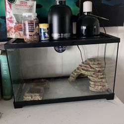 Bearded Dragon Cage And Lights And Food 