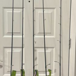 NEW Fishing Rods & Reels (One rod is lightly used.) $70 - $80 See Description for More Information