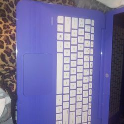 Hp Laptop  works Great