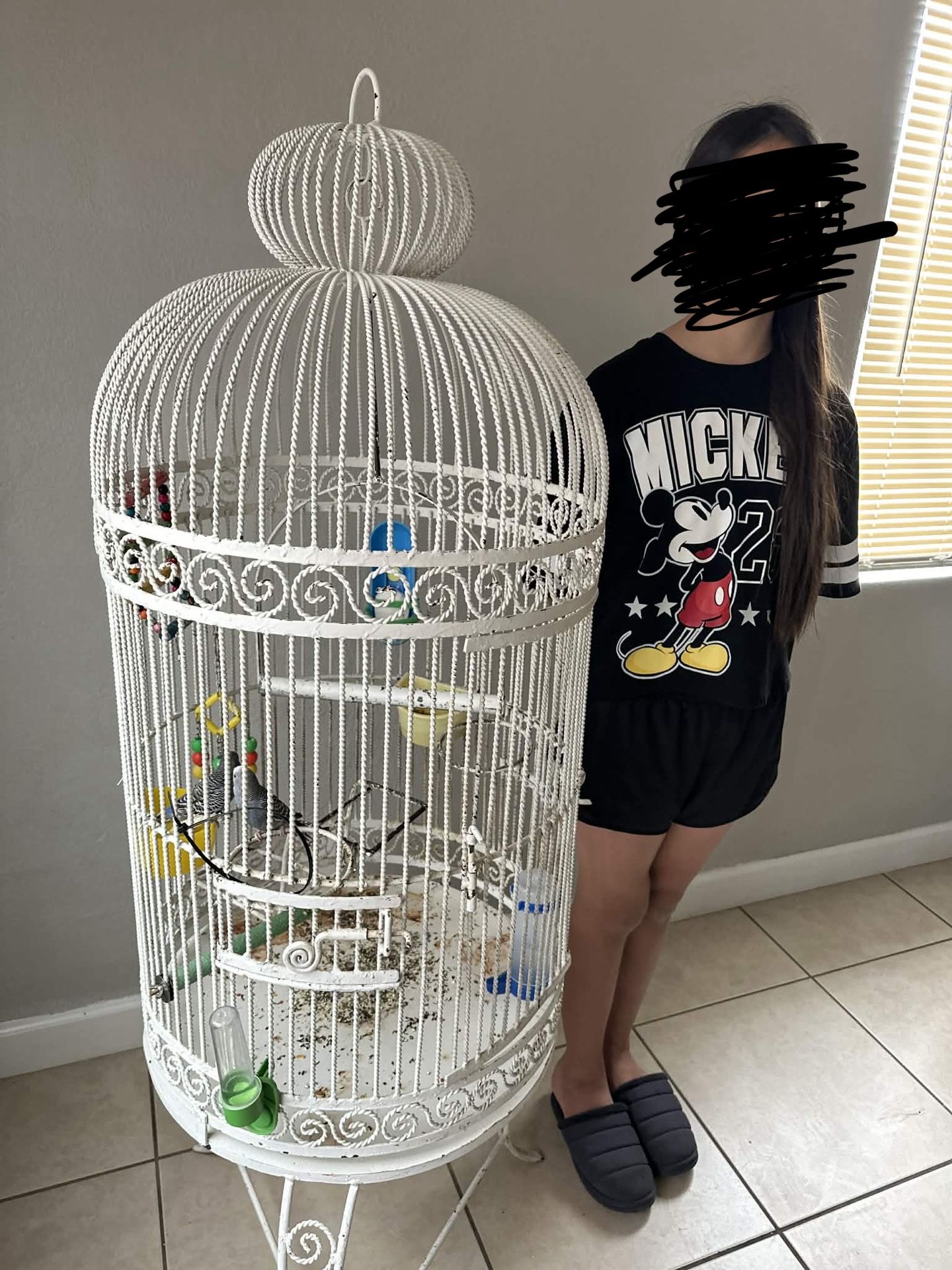 Bird Cage 