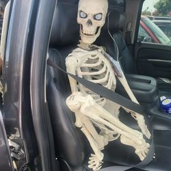 5ft Skelton