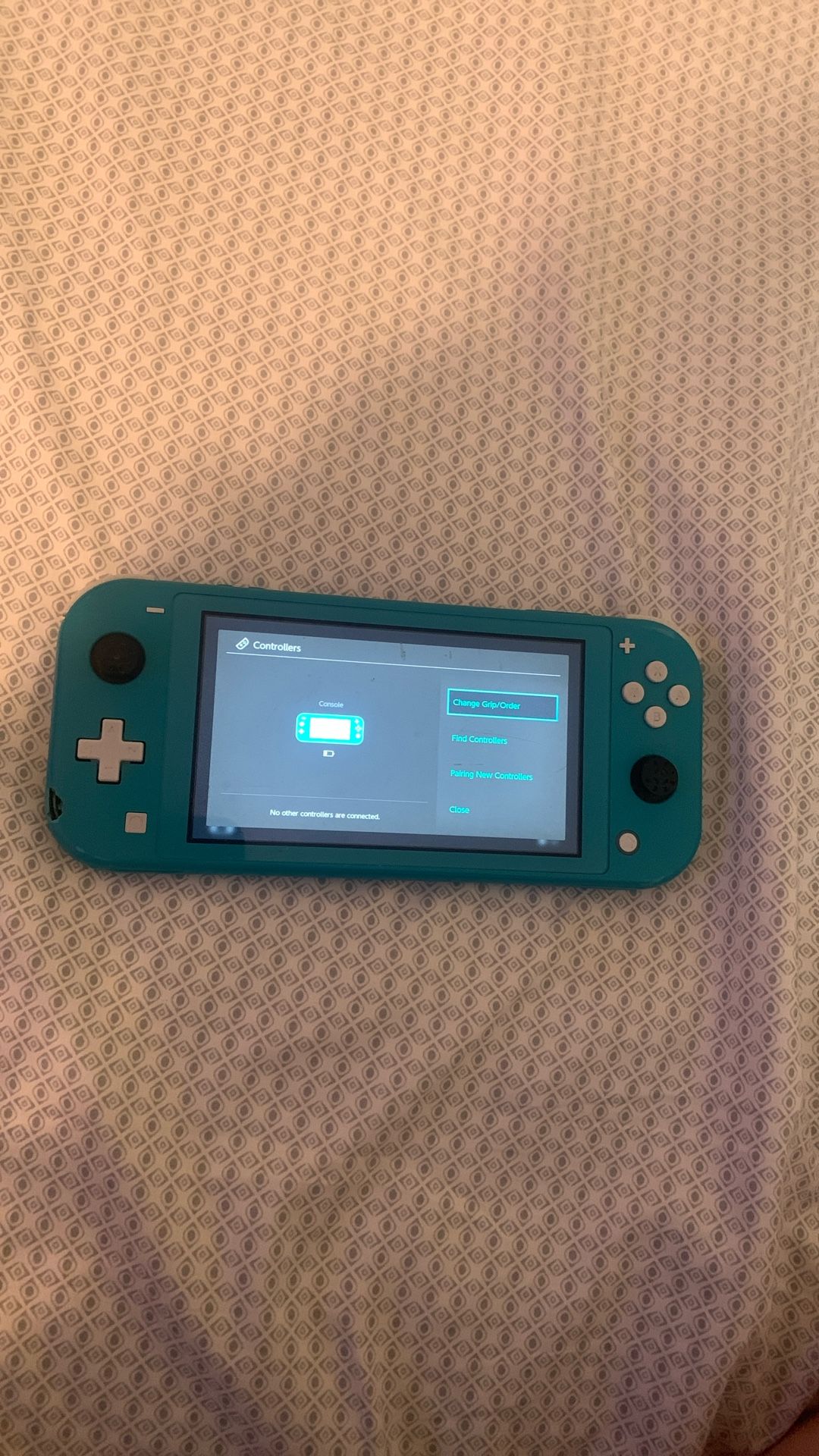 A Nintendo Lite Pretty Bad Condition But It Still Works