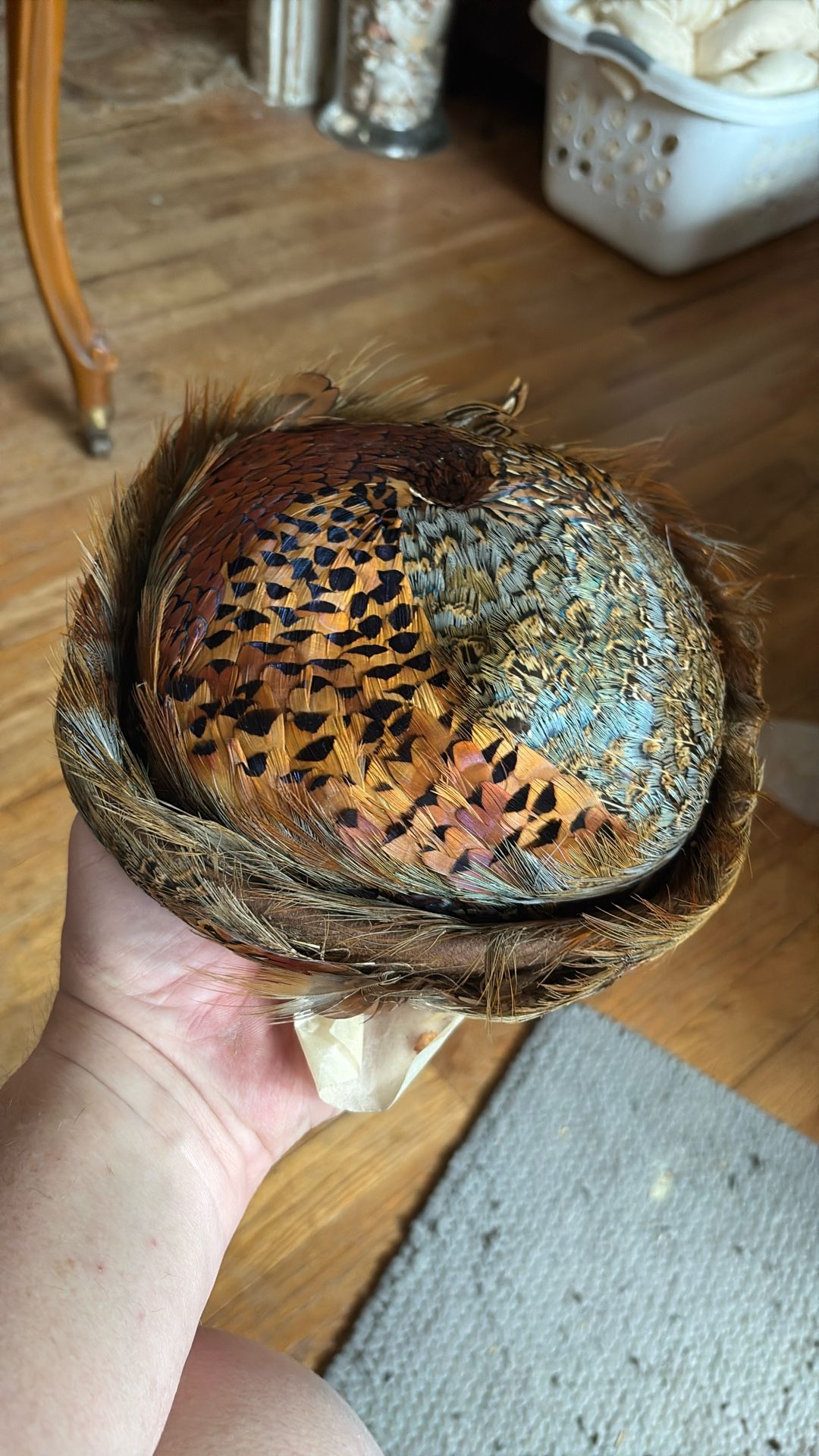 Woman’s Pheasant Hat