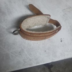 Medium Size Dog Collar 