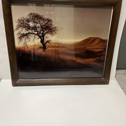 Framed Landscape Photo