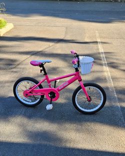 REI Rev 16 Bicycle