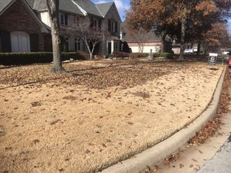 Leaf removal