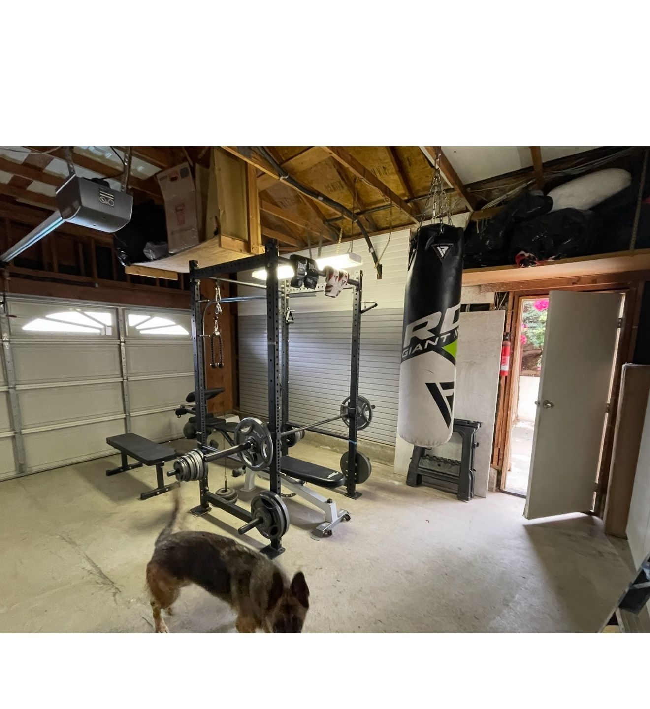 Gym Equipment 