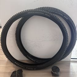 Schwalbe Tough Tom 29x2.25 inch tires and tubes