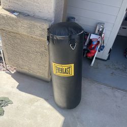 Everlast Punching Bag