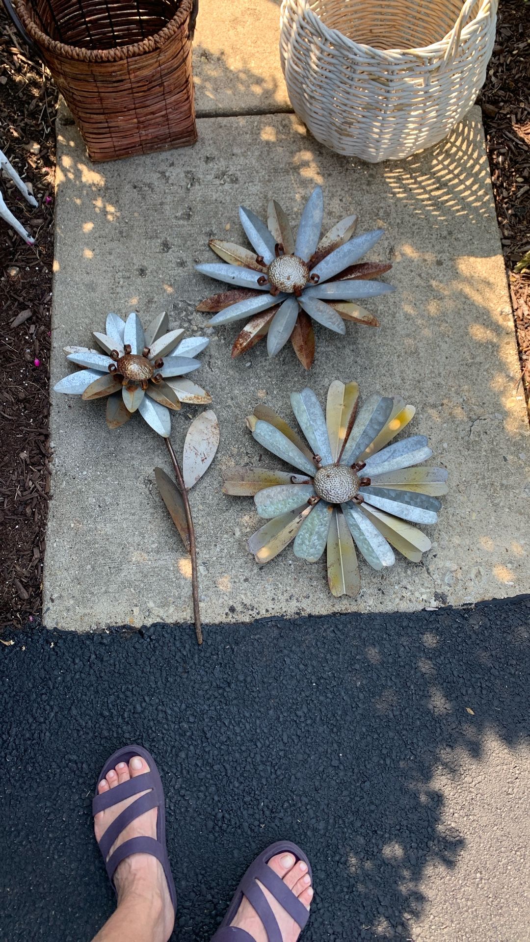 Garden Flowers