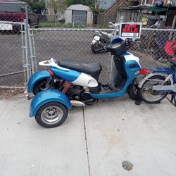 Trike Scooter