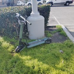 VSETTA 8+ $350 Cash Today