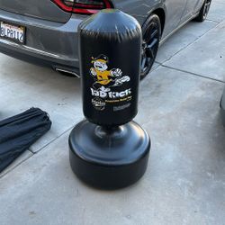 Kick Boxing Bag