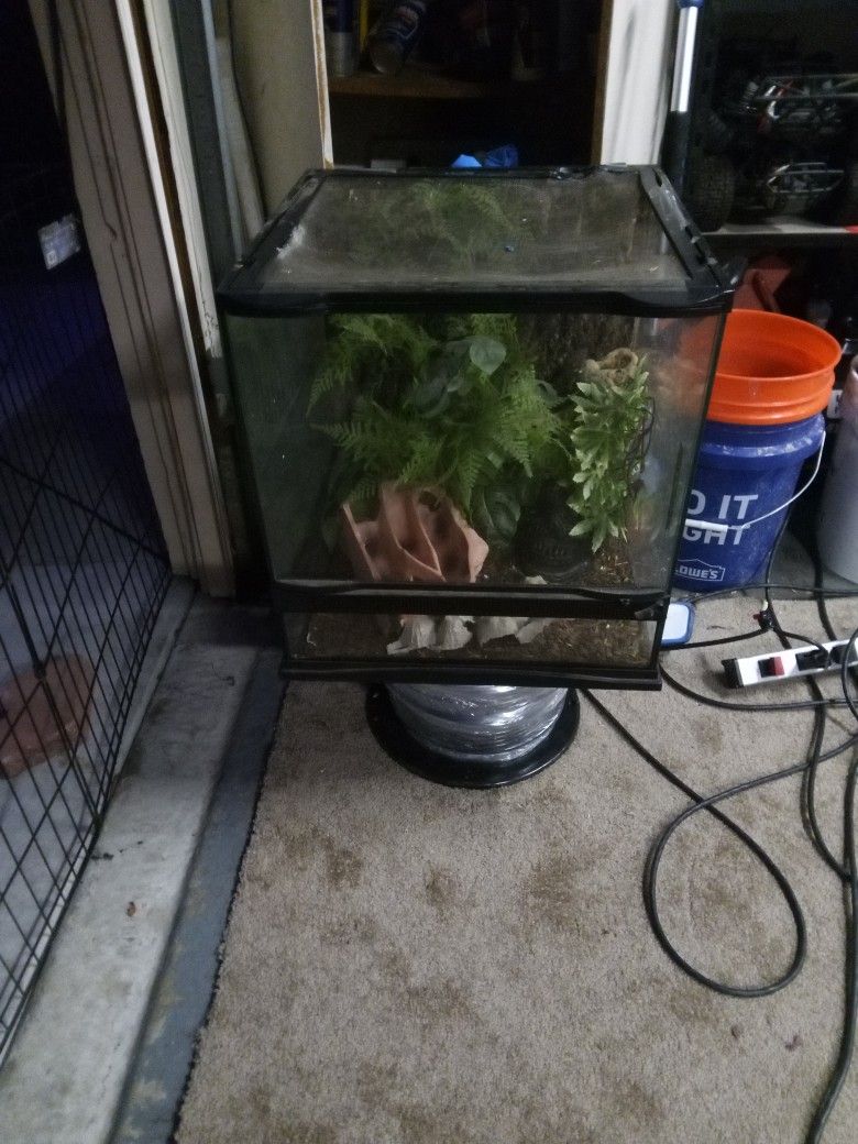 Reptile Terrarium