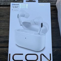 Earphones