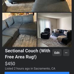 Sectional Couch (Area Rug Included)