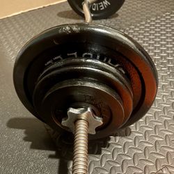Standard Curl Bar with Weight Plates: 25s, 10s, 7.5s and 5 pounders. Brute Weigh: 109#