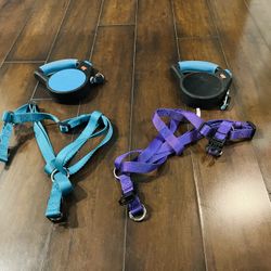 Dog Leash & Harness 