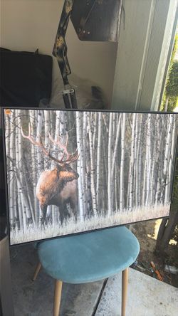 Moose canvas wall decor