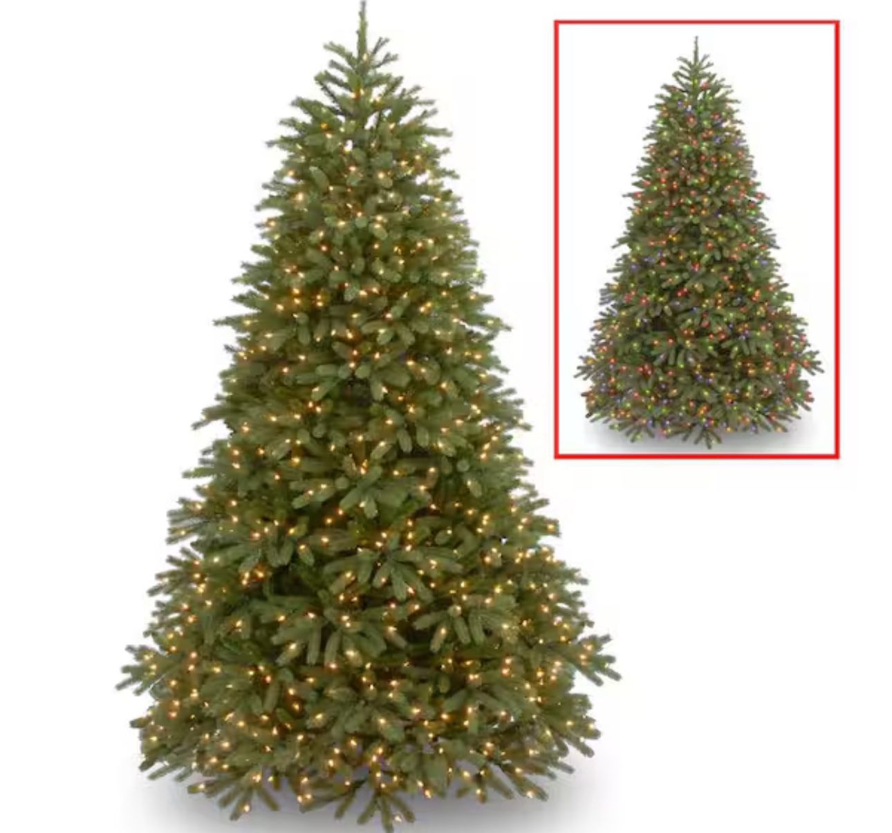 10 ft. Jersey Fraser Fir Medium Tree wit h Dual Col