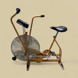 Schwinn airdyne vintage exercise bike