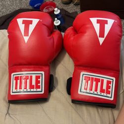 Youth Title Boxing Gloves 