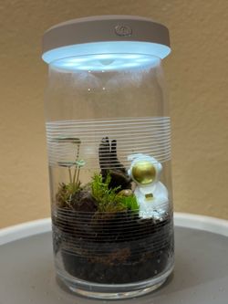 Spaceman terrarium