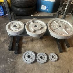 Squat Rack + Weights + Bar 