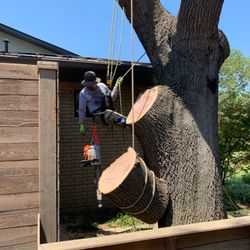 Stump Removal Grinding Remover 