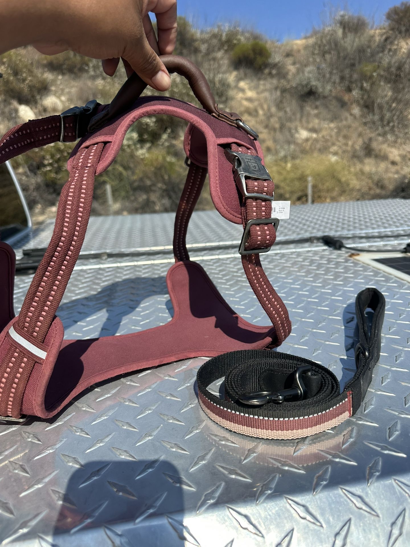 Dog Harness And Leash