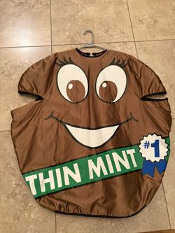Girl Scout Cookie Costume