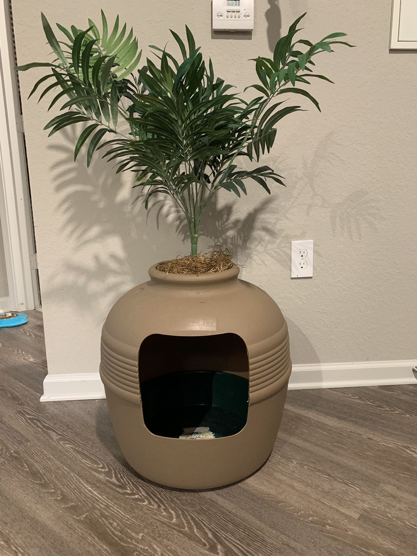 Litter box plant indoor/outdoor