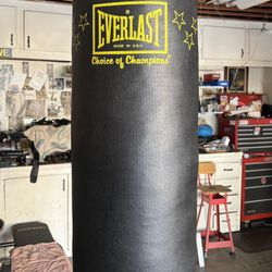 EVERLAST 80lb Heavy bag Made In The USA!