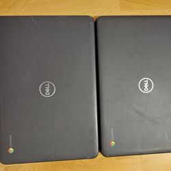 Dell 3100 Chromebooks