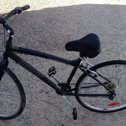 Infinity Bicycle ($125)