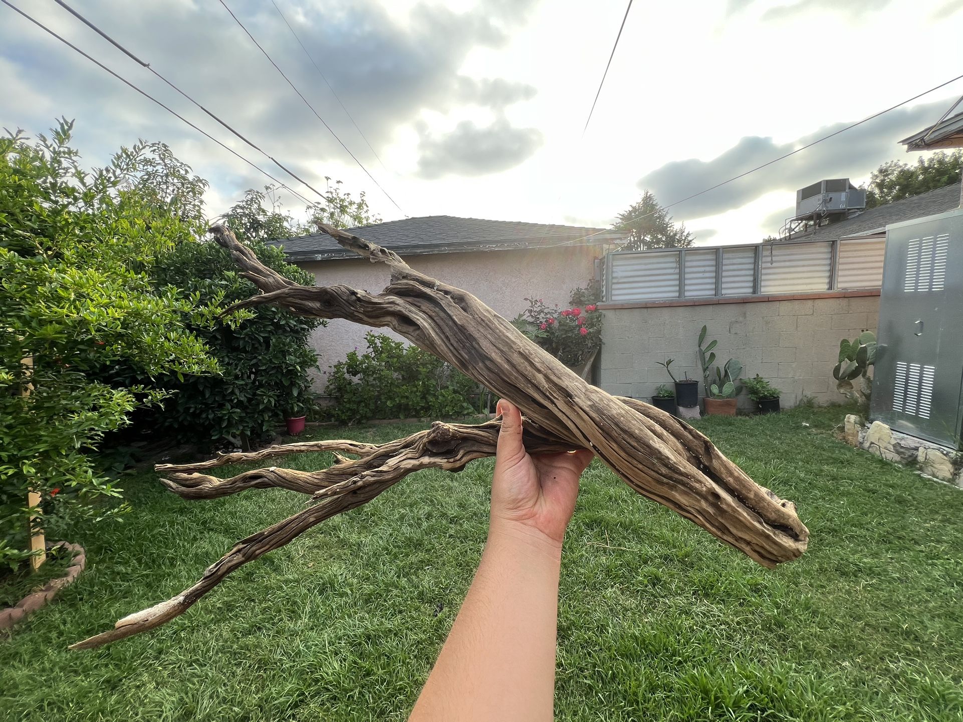 Large Driftwood 45β Long Fish Tank Decor