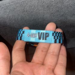lollapalooza 4day VIP