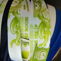 Four 4day Passes To Reggae Rise Up Vinoy Park 