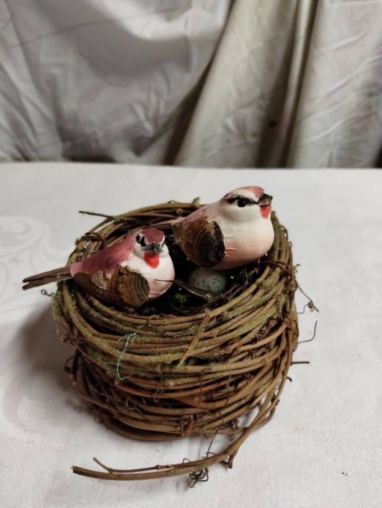Mushroom Birds